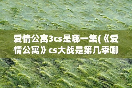 爱情公寓3cs是哪一集(《爱情公寓》cs大战是第几季哪一集)