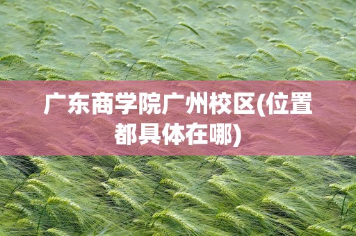广东商学院广州校区(位置都具体在哪)