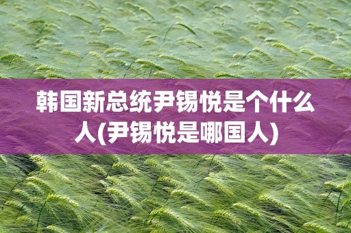 韩国新总统尹锡悦是个什么人(尹锡悦是哪国人)