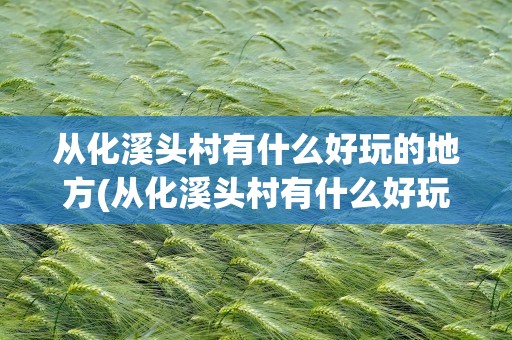 从化溪头村有什么好玩的地方(从化溪头村有什么好玩的地方十)