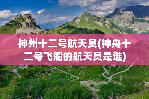 神州十二号航天员(神舟十二号飞船的航天员是谁)
