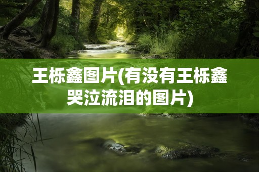 王栎鑫图片(有没有王栎鑫哭泣流泪的图片)
