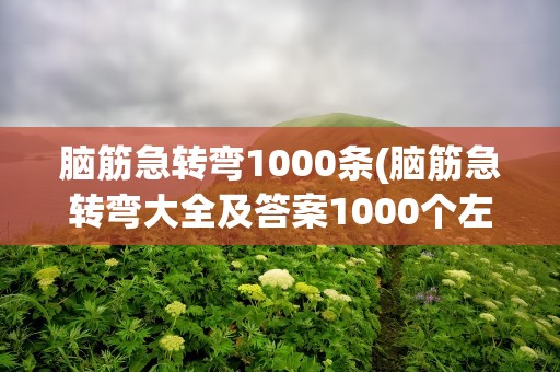 脑筋急转弯1000条(脑筋急转弯大全及答案1000个左右)