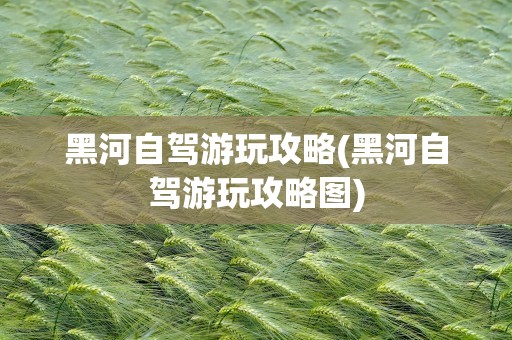 黑河自驾游玩攻略(黑河自驾游玩攻略图)