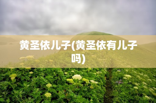 黄圣依儿子(黄圣依有儿子吗)