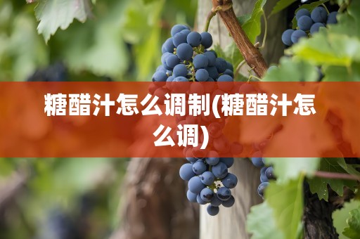 糖醋汁怎么调制(糖醋汁怎么调)