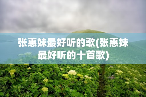 张惠妹最好听的歌(张惠妹最好听的十首歌)
