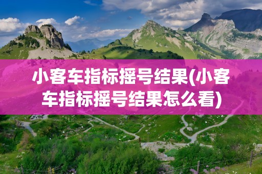 小客车指标摇号结果(小客车指标摇号结果怎么看)