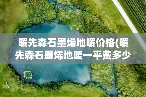 暖先森石墨烯地暖价格(暖先森石墨烯地暖一平费多少电)