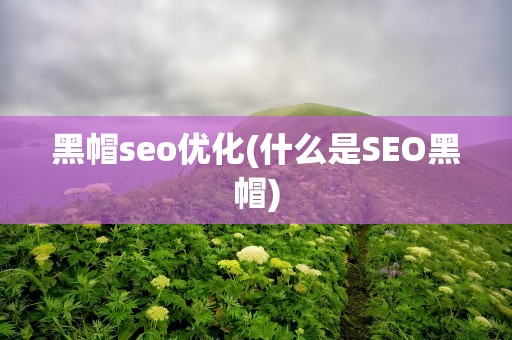 黑帽seo优化(什么是SEO黑帽)