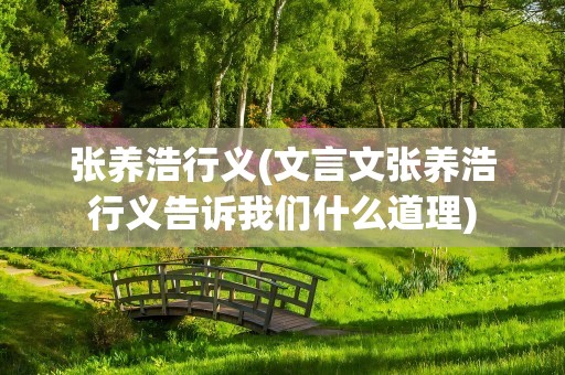 张养浩行义(文言文张养浩行义告诉我们什么道理)
