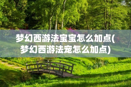 梦幻西游法宝宝怎么加点(梦幻西游法宠怎么加点)