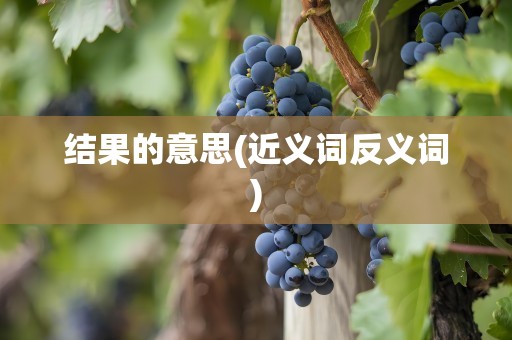 结果的意思(近义词反义词)
