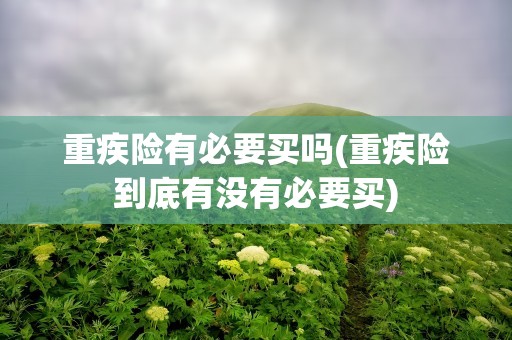 重疾险有必要买吗(重疾险到底有没有必要买)