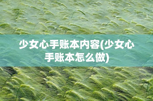 少女心手账本内容(少女心手账本怎么做)