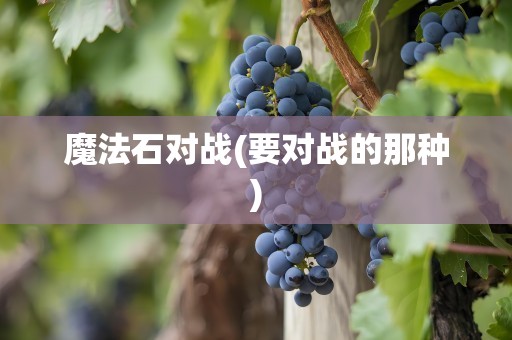 魔法石对战(要对战的那种)