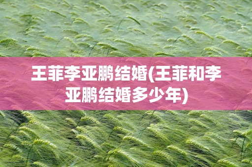 王菲李亚鹏结婚(王菲和李亚鹏结婚多少年)