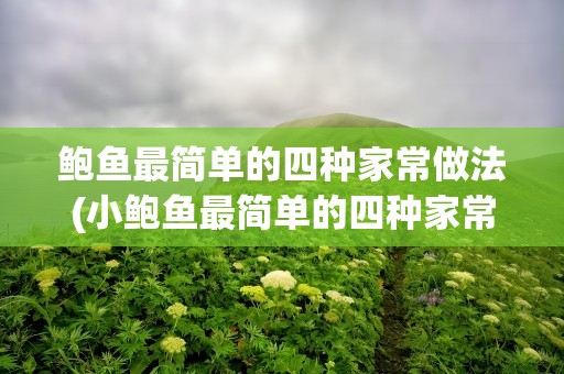 鲍鱼最简单的四种家常做法(小鲍鱼最简单的四种家常做法)
