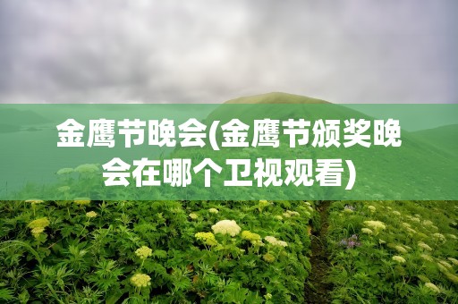 金鹰节晚会(金鹰节颁奖晚会在哪个卫视观看)