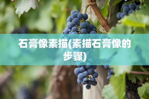 石膏像素描(素描石膏像的步骤)