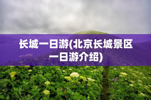 长城一日游(北京长城景区一日游介绍)