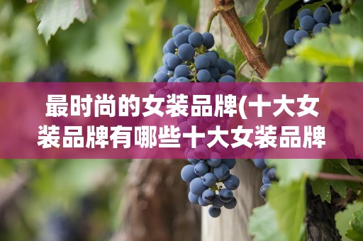 最时尚的女装品牌(十大女装品牌有哪些十大女装品牌)