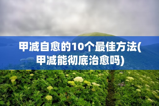 甲减自愈的10个最佳方法(甲减能彻底治愈吗)