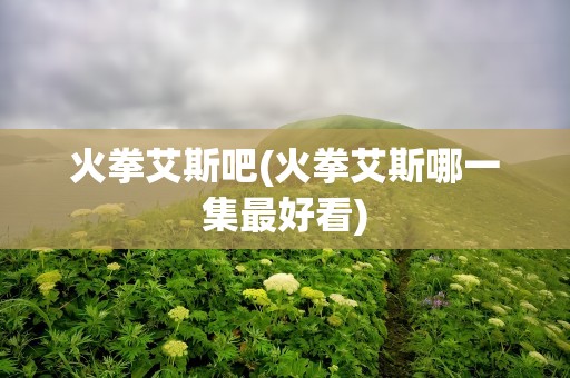 火拳艾斯吧(火拳艾斯哪一集最好看)