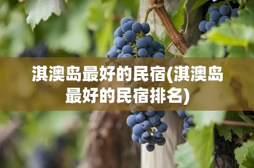 淇澳岛最好的民宿(淇澳岛最好的民宿排名)