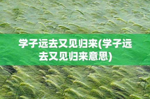 学子远去又见归来(学子远去又见归来意思)