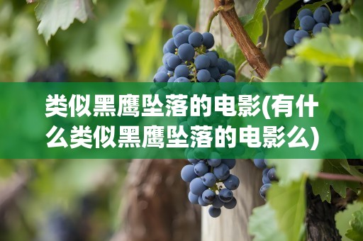 类似黑鹰坠落的电影(有什么类似黑鹰坠落的电影么)