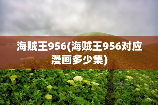 海贼王956(海贼王956对应漫画多少集)
