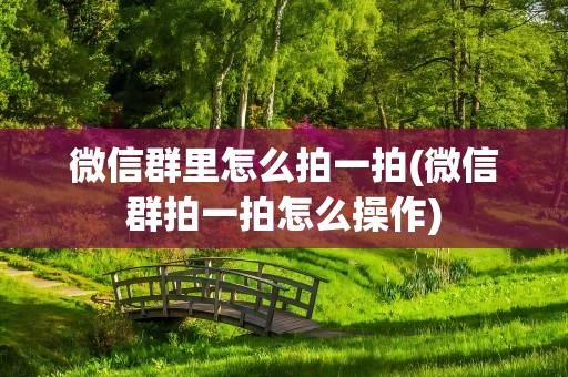 微信群里怎么拍一拍(微信群拍一拍怎么操作)