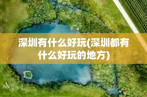 深圳有什么好玩(深圳都有什么好玩的地方)