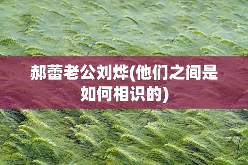 郝蕾老公刘烨(他们之间是如何相识的)
