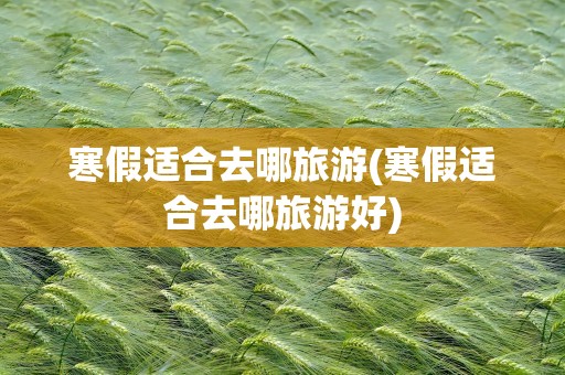 寒假适合去哪旅游(寒假适合去哪旅游好)
