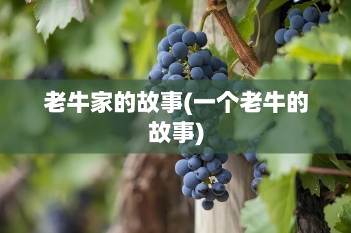 老牛家的故事(一个老牛的故事)