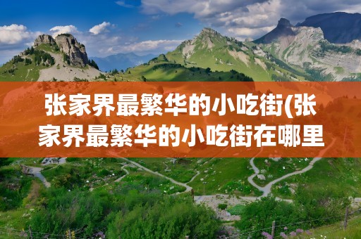 张家界最繁华的小吃街(张家界最繁华的小吃街在哪里)