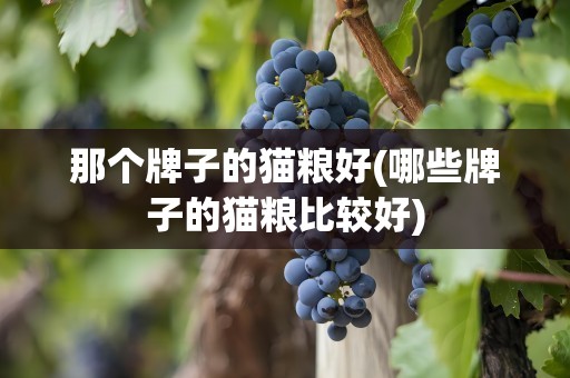那个牌子的猫粮好(哪些牌子的猫粮比较好)