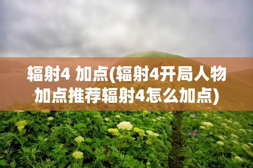 辐射4 加点(辐射4开局人物加点推荐辐射4怎么加点)