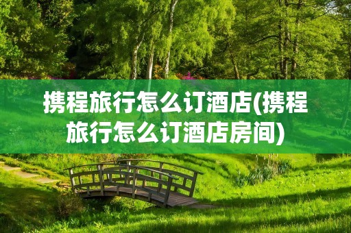 携程旅行怎么订酒店(携程旅行怎么订酒店房间)