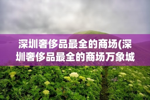 深圳奢侈品最全的商场(深圳奢侈品最全的商场万象城商品价格)