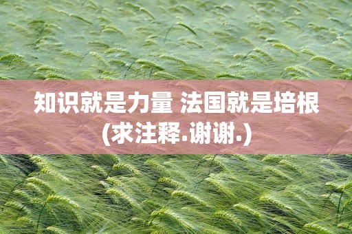知识就是力量 法国就是培根(求注释.谢谢.)
