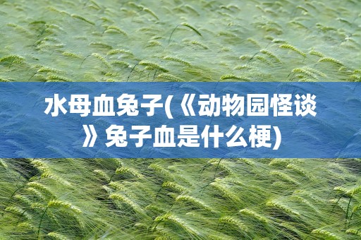 水母血兔子(《动物园怪谈》兔子血是什么梗)