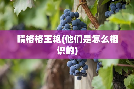 晴格格王艳(他们是怎么相识的)