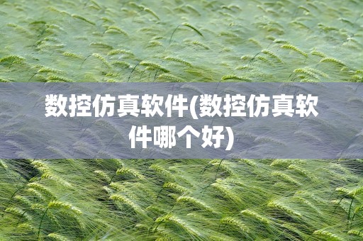 数控仿真软件(数控仿真软件哪个好)