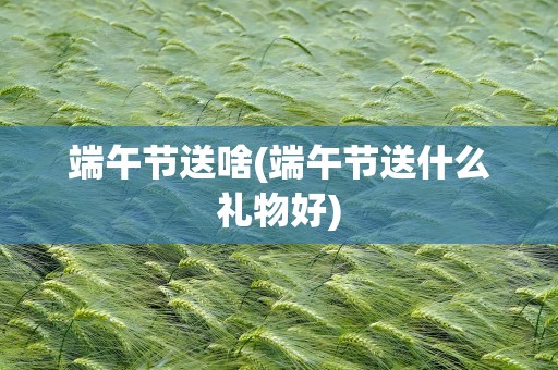 端午节送啥(端午节送什么礼物好)