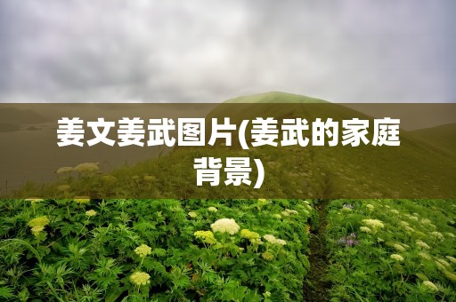 姜文姜武图片(姜武的家庭背景)