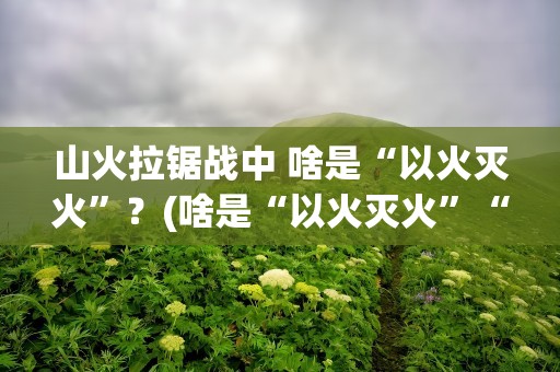 山火拉锯战中 啥是“以火灭火”？(啥是“以火灭火”“以火灭火”是什么原理)