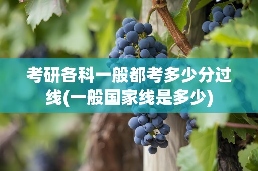 考研各科一般都考多少分过线(一般国家线是多少)